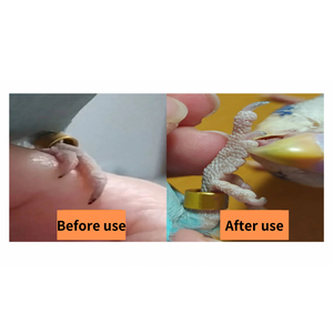 Nouveau support <span class=keywords><strong>de</strong></span> perchoir d'oiseau rayé Colorfast <span class=keywords><strong>jouet</strong></span> à mâcher bâton debout <span class=keywords><strong>pour</strong></span> le meulage des pattes <span class=keywords><strong>de</strong></span> <span class=keywords><strong>perroquet</strong></span> - Product Image 6