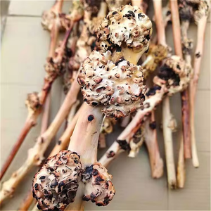 Aquarium Fish Tank Plum Blossom Branch Aménagement paysager Bois flotté Bois mort - Product Image 5