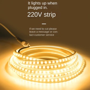 หลอดไฟ LED แถบไฟนีออนยืดหยุ่น12V Luz RGB แบบเชือกซิลิโคนยืดหยุ่นสำหรับตกแต่ง Para letrero - Product Image 2