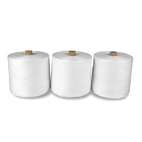 Pas cher prix Hubei usine directe 100% filé polyester matière première papier cône fil brut blanc 20/2 20/3 20/4 40/2 40/3 50/2