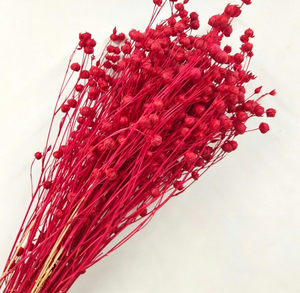 <span class=keywords><strong>Fleurs</strong></span> <span class=keywords><strong>séchées</strong></span> riches en couleur, <span class=keywords><strong>fleurs</strong></span> <span class=keywords><strong>séchées</strong></span> conservées, <span class=keywords><strong>bouquet</strong></span> de 50 g et lots d'artisanat, longue durée de vie de 3 à 5 ans pour Thanksgiving - Product Image 6