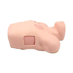 Krankenschwestern-Dummy-Simulator für medizinisches Brust- (Rücken-)Punktionstrainingsmodell <span class=keywords><strong>Thorax</strong></span> Die Thoraxhöhle - Product Image 3