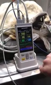 Thiết Bị Đa Thông Số Cầm Tay Pet Clinic Sử Dụng Huyết Áp ECG Nhịp Tim Nhiệt Độ SpO2 EtCO2 Màn Hình Nhỏ