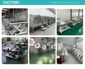 전기 구동 무영 수술등 LED 수술 램프 금속 장착 외과 의사 장비 - Product Image 6