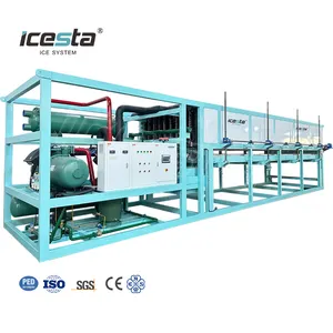 ICESTA personalizzato automatico risparmio energetico lunga vita di servizio di alta qualità 15t industriale raffreddamento diretto ghiaccio blocco che fa macchina