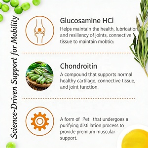 อาหารเสริมบำรุงข้อและสะโพกสำหรับสุนัขแบบ OEM/ODM - กลูโคซามีนผสมคอนดรอยติน วิตามินซีและอี 400 มก. ขนมเคี้ยวแบบนิ่มบรรเทาอาการปวดข้อสำหรับสุนัข - Product Image 3