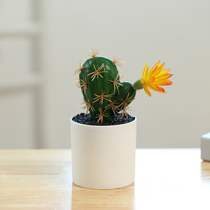 Mini <span class=keywords><strong>Cactus</strong></span> Bonsai <span class=keywords><strong>de</strong></span> alta calidad, planta en maceta Artificial verde para decoración <span class=keywords><strong>de</strong></span> oficina, flores y plantas decorativas - Product Image 4