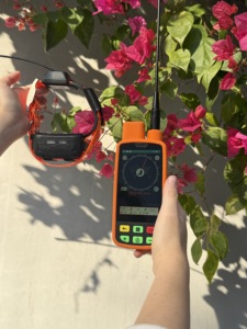 Collar <span class=keywords><strong>GPS</strong></span> Todo en Uno <span class=keywords><strong>para</strong></span> Perros con Acoplamiento Multidispositivo (IMEI), Reproducción de 7 Días y Análisis de Ubicación - Product Image 1