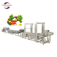 Industriële bubbelwasmachine voor fruit- en groenteverwerkingsbedrijven