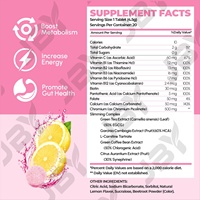 Tabletas Efervescentes Adelgazantes Personalizadas con Certificación OEM ODM GMP, Fórmula para el Control de Peso de Marca Privada con Vitaminas y Minerales