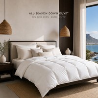 Couette matelassée toutes saisons en duvet de canard blanc 50 %, taille Queen, chaleur toute l'année, en coton anti-déchirure, matelassage en boîte, vente en gros OEM