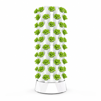 Système de jardinage hydroponique vertical à 10 niveaux pour ananas, avec pompe de circulation, pour laitues, herbes et légumes-feuilles