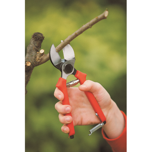Forbici a doppio taglio forgiate per potatura frutteti ARTICOLO 17 - Product Image 2