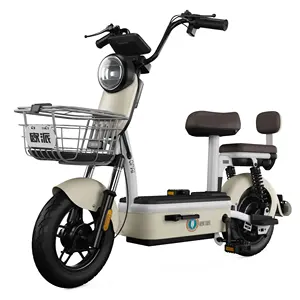 China big brand high quality electric bicycle 48v new model electric permanent magnet motor electric bicycle motorcycle