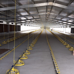 Casa di pollo prefabbricata della struttura d'acciaio di progettazione moderna per le aziende agricole installazione rapida - Product Image 5