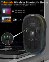 Souris de jeu ergonomique avec rétroéclairage LED, clic silencieux, optique, rechargeable, compatible MacBook/ordinateur portable, design transparent sans fil, en stock