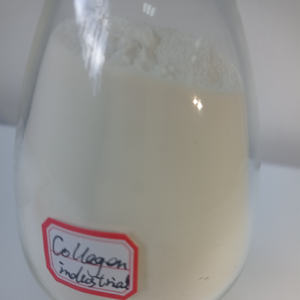 Polvo de peptona de colágeno de grado industrial al por mayor - Product Image 2