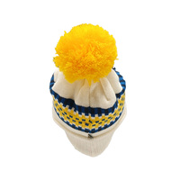Casquette unisexe pour adultes, marque LEMON, logo personnalisé, 100% acrylique, motif géométrique rayé, tricotée à la machine, appliqué, réglable, pour l'extérieur