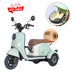 Vente en gros de tricycle électrique à 3 roues personnalisé de haute qualité tricycle de cyclomoteur tricycle de fret électrique portable pour adultes - Product Image 3