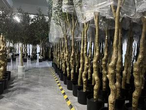 Nhân Tạo Có Thể Tháo Rời Bonsai Olive Cây Nhựa Nhà Máy Bất Cảm Ứng Lá Chất Lượng Cao Olive Trái Cây Cho Ngoài Trời Cung Cấp - Product Image 5