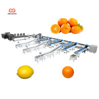 1000 kg/uur fruitdroog-, sorteermachine en verwerkingsapparatuur, optische sorteerder voor aardappels, sorteer- en verpakkingsinstallatie