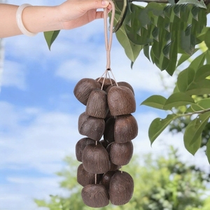 Wholesale Handcrafted Fruit Shell <b>String</b> Hanging Decor Multiple Style Natural Wind Chime Souvenir - Product Image 4