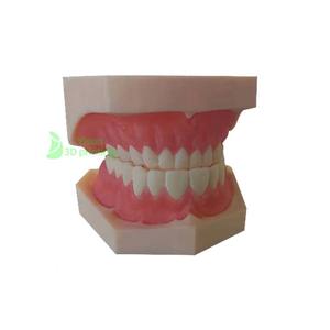 Personalizzazione dei denti del modello dentale disegno prototipazione rapida servizio elaborazione del materiale trasparente per il servizio meccanico - Product Image 3