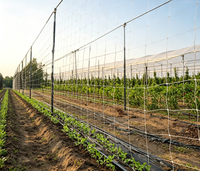 Filets en plastique pour la croissance des plantes grimpantes en agriculture, support pour la production personnalisée par le fabricant
