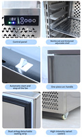 Fruits Poulet Viande Restaurant Rapide Cabinet Blast Refroidisseur Congélateur Machine Azote Liquide Air Blast Congélateur pour Nourriture Boisson