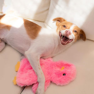 Toptan en iyi Pet malzemeleri kırışık peluş köpek oyuncaklar ses yapma büyük düz ağızlı ördek kürdan ve ısırma oyuncaklar - Product Image 4