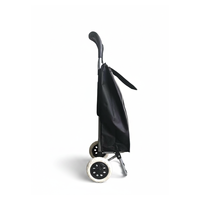Chariot de courses pliable portable grande capacité avec poche latérale pour supermarché et transport de bagages