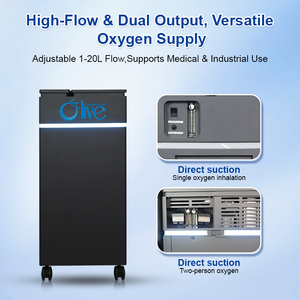 Olive PSA CE chứng nhận 20 lpm dòng chảy lớn oxigen Máy phát điện 20 lít concentrador de oxigeno 20L oxygene tập trung - Product Image 4