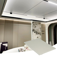 Panneaux en aluminium légers, plats, alvéolés et thermolaqués pour plafonds sans cadre avec spots encastrés surdimensionnés pour salons