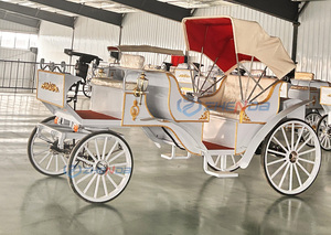 Calèche électrique de haute qualité pour visites touristiques, conçue pour le confort et la fiabilité lors des excursions, à vendre - Product Image 6