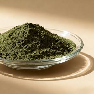 YIDA Biotech Trichoderma Longibrachiatum Ácido Húmico en Polvo Verde Oscuro, Potenciador de la Inmunidad Vegetal, Prevención de Enfermedades, 1-30 Mil Millones 12 - Product Image 2