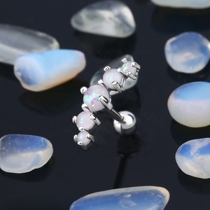 316L Chirurgischer Edelstahl Helix-Knorpel-Ohrstecker Tragus-Ohrring Ohrpiercing Körperschmuck - Product Image 4