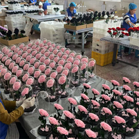 Vente en gros de roses éternelles sous cloche en verre avec lumières LED, arrangement floral éternel pour mariage et décoration intérieure