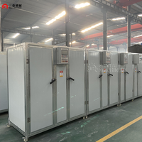 Salle de séchage industrielle pour les aliments Fruits Légumes Graines de riz Air chaud Énergie solaire Noyau de pompe électrique à état neuf