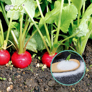 Poliacrilato de Potasio Matière Première Soco para Agricultura, para Árboles de Mango, para Plantación - Product Image 6