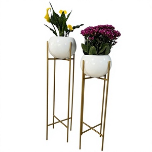 Macetas de hierro con revestimiento blanco, macetas con soporte para plantas de interior, decorativas, para montar en el suelo, juegos de macetas metálicas con soporte para decoración del hogar. - Product Image 1