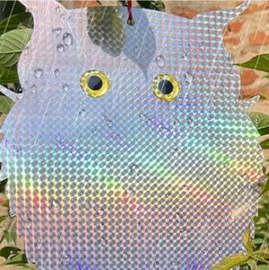 批发双面猫头鹰激光驱鸟器宠物固体反射悬挂脂肪猫头鹰农场动物苍蝇控制 - Product Image 6