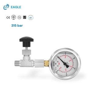 ईगल समायोज्य दिशा दबाव गेज वाल्व 315 बार r g m थ्रेड सीधे कोण स्टेनलेस स्टील उपकरण - Product Image 1