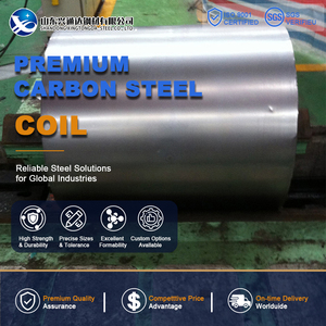 Bobina de Acero al Carbono SS400 S355JR Recubierta, Decapada y Aceitada de 20 mm x 2000 mm para Estampado JIS G3101 para Ingeniería - Product Image 1