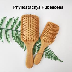 Juego de Peines Ecológicos con Cojín de Aire, Peine de Madera para Desenredar el Cabello, Mango de Bambú, Peine de Masaje - Product Image 3