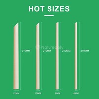 Paille en bambou jetable sans PLA personnalisée 6mm 8mm 12mm paille à boire biodégradable pour fête restaurant thé Boba
