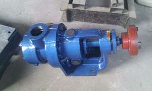Bomba Rotativa Eléctrica de Malla Interna de Acero Inoxidable de Alta Resistencia Serie NYP para Fluidos de Alta Viscosidad con Reductor de Transmisión - Product Image 6