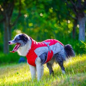 नए पालतू कपड़े शरद ऋतु सर्दियों में मध्यम और बड़े कुत्तों के लिए गर्म पर्यावरण अनुकूल कपास ठोस कोट - Product Image 1