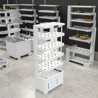 Armoire de culture de plantes de serre intérieure hydroponique automatique avec lumière LED nouveau système d'irrigation pour l'arrosage à la maison