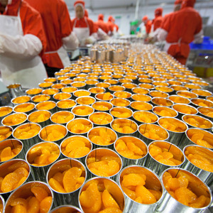 Venta al por Mayor de Naranjas Mandarinas Enlatadas en Almíbar de 11oz/15oz/29oz/90oz/105oz - Product Image 5