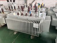 Transformateur toroïdal à trois phases immergé dans l'huile, faible bruit, 315 kVA - 1600 kVA, bobine cuivre/aluminium, équipement d'alimentation électrique, huile ondulée